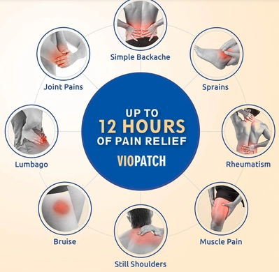 Client Home Design 3